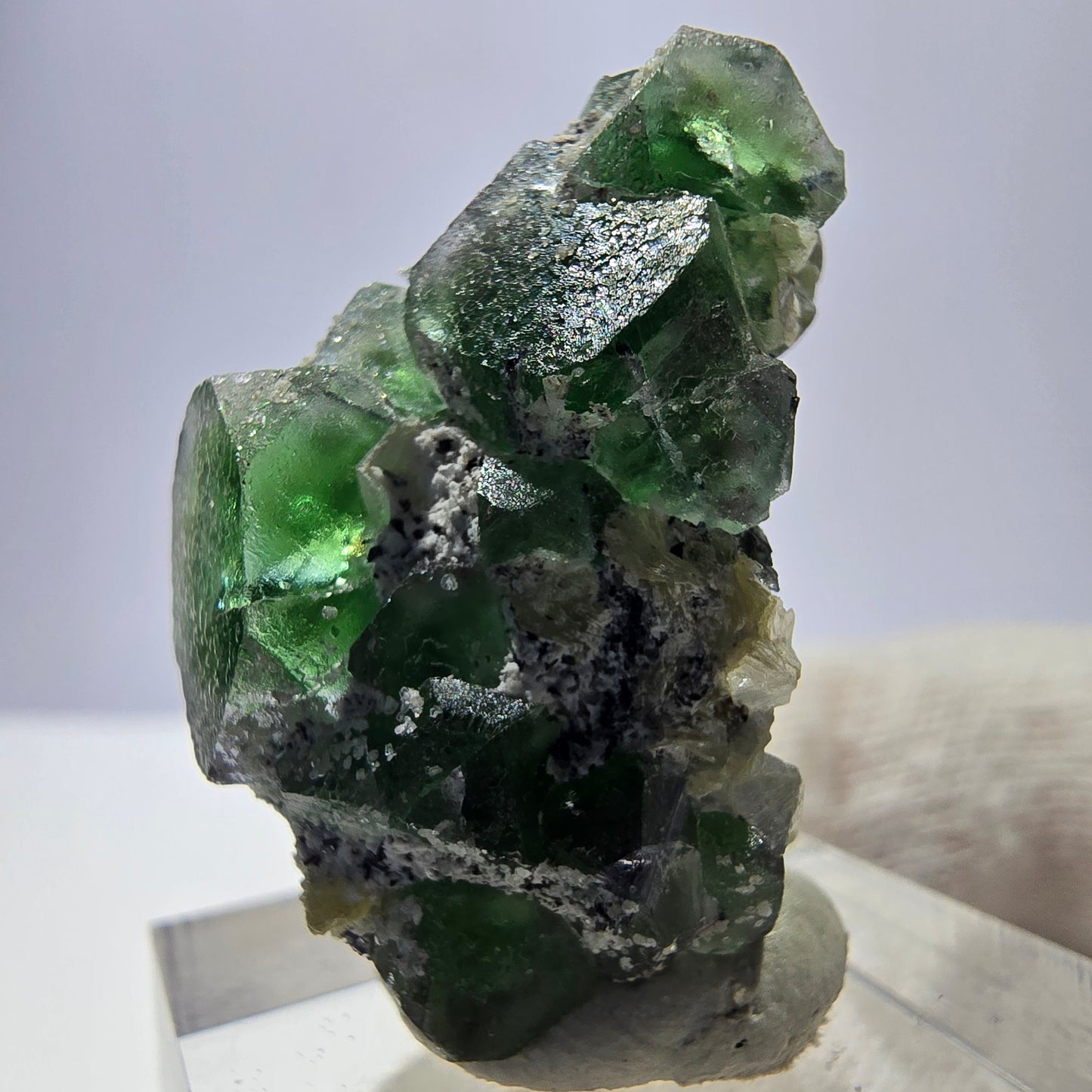Fluorite fantôme, tourmaline Schörl, stade muscovite Erongo Namibie 31*20*25mm