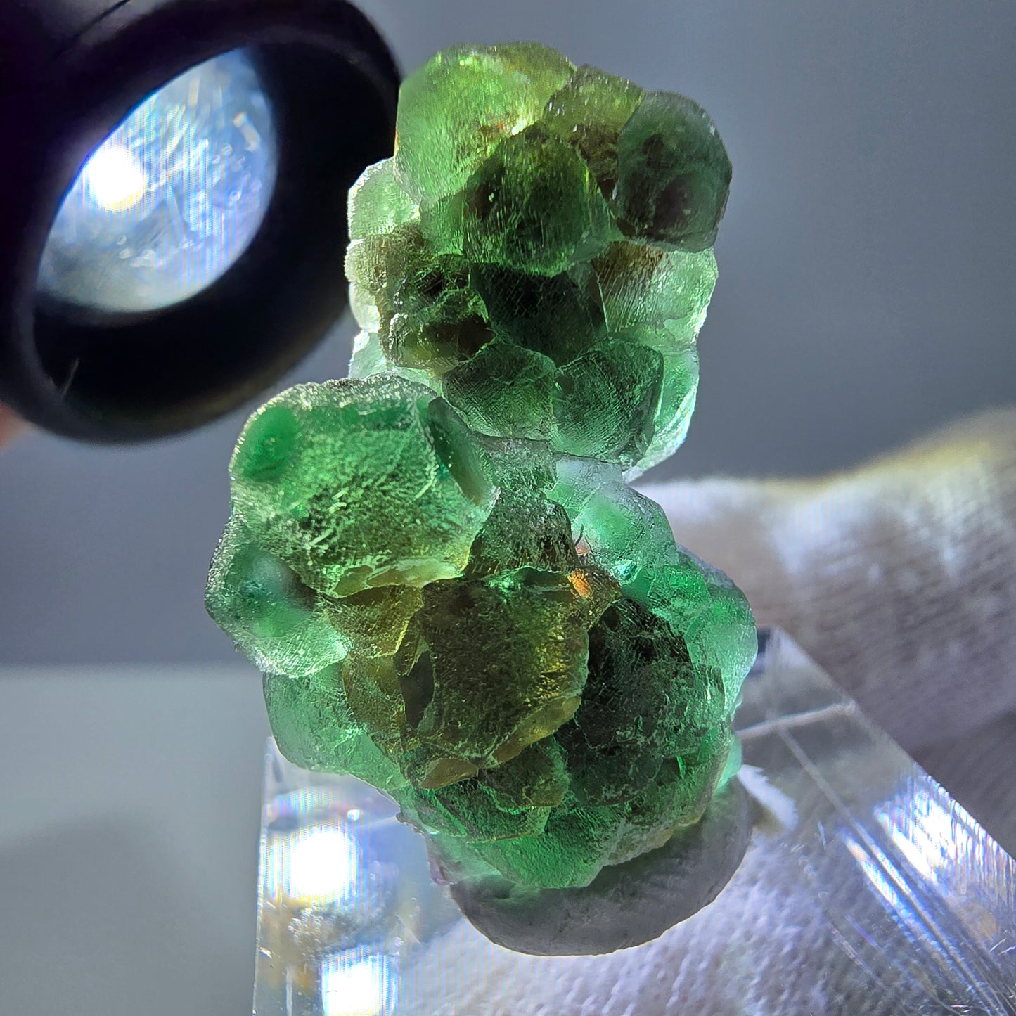 Cube de fluorite fantôme, spécimen de muscovite, Erongo, Namibie, 30 x 19 x 13 mm