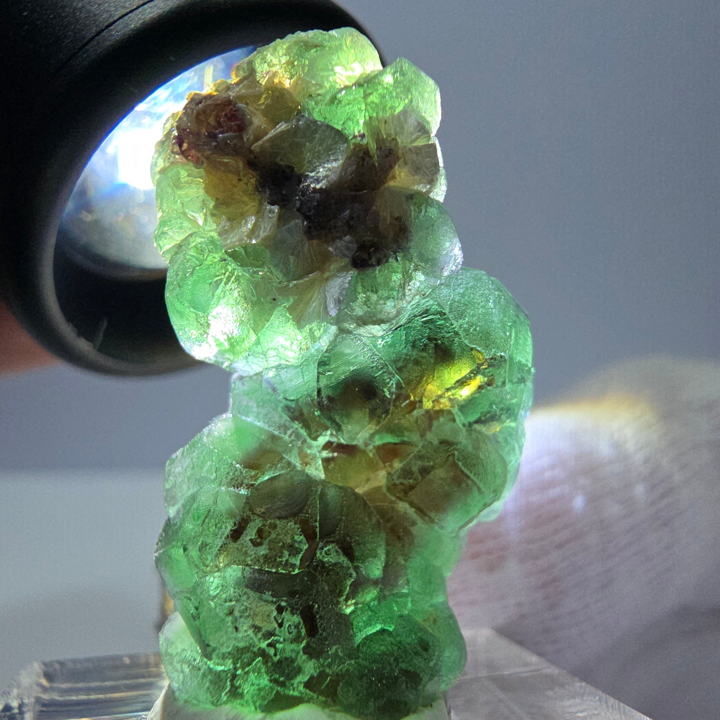 Cube de fluorite fantôme, spécimen de muscovite, Erongo, Namibie, 30 x 19 x 13 mm