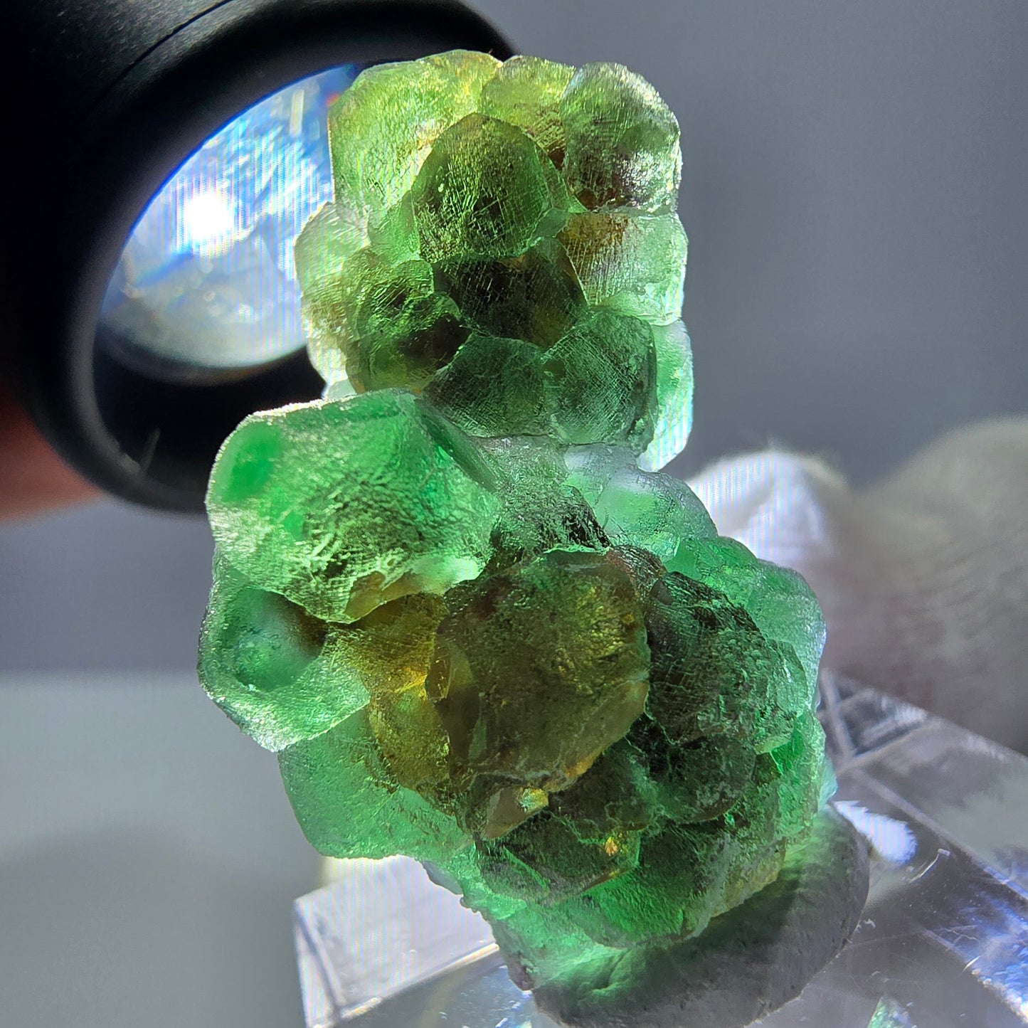 Cube de fluorite fantôme, spécimen de muscovite, Erongo, Namibie, 30 x 19 x 13 mm