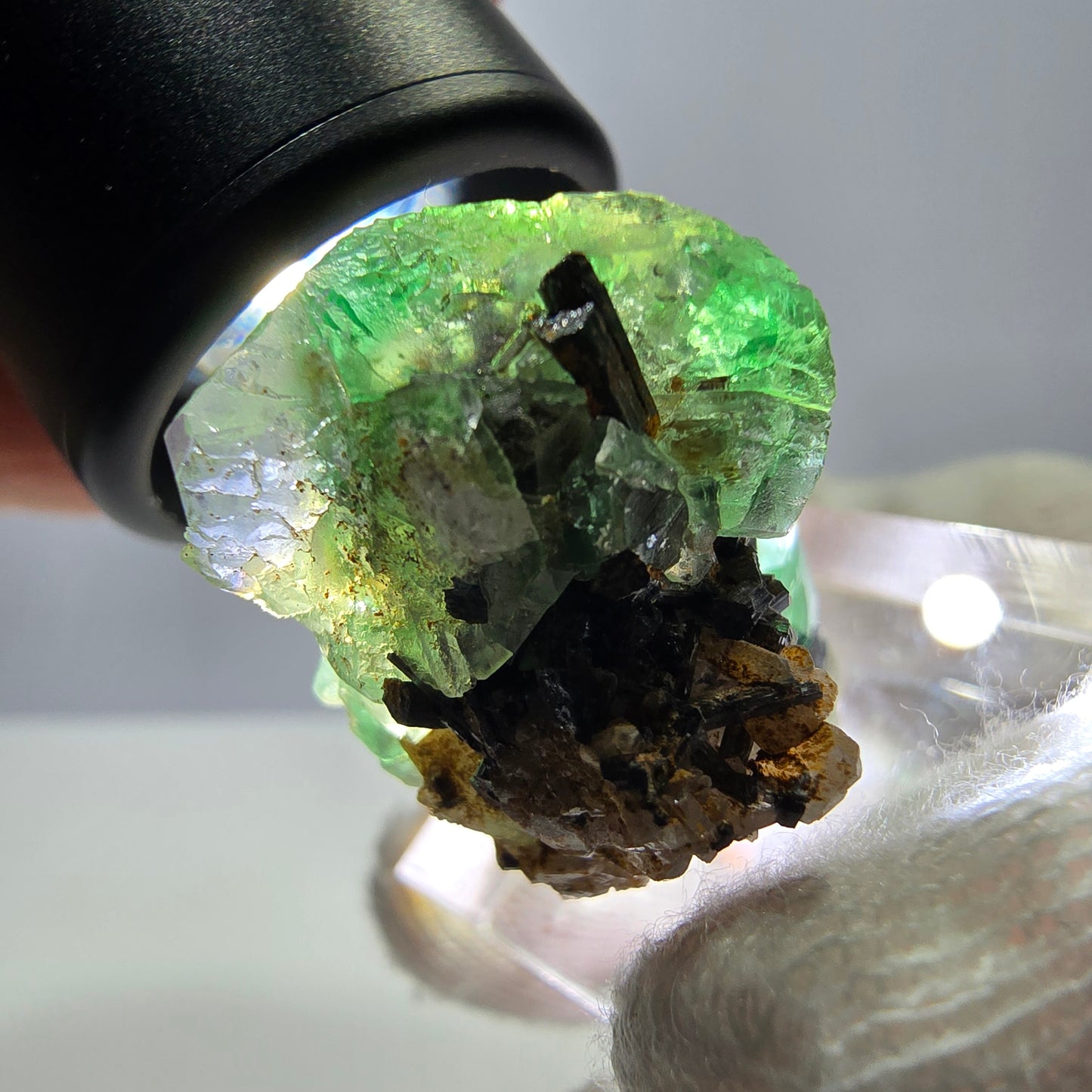 Fluorite fantôme hexagonale, tourmaline Schörl, quartz fumé, hyalite, Erongo, Namibie, 33 x 22 x 23 mm
