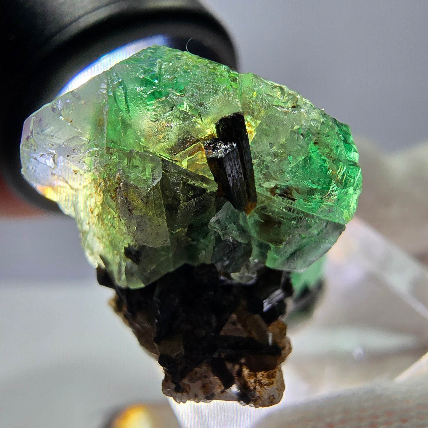 Fluorite fantôme hexagonale, tourmaline Schörl, quartz fumé, hyalite, Erongo, Namibie, 33 x 22 x 23 mm