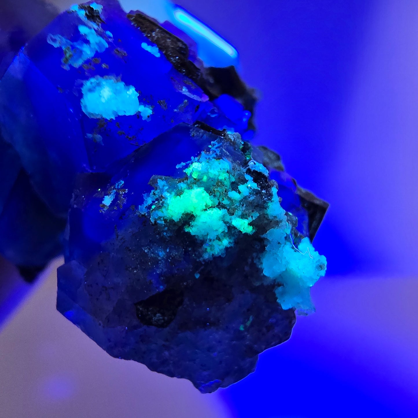 Fluorite fantôme hexagonale, tourmaline Schörl, quartz fumé, hyalite, Erongo, Namibie, 33 x 22 x 23 mm