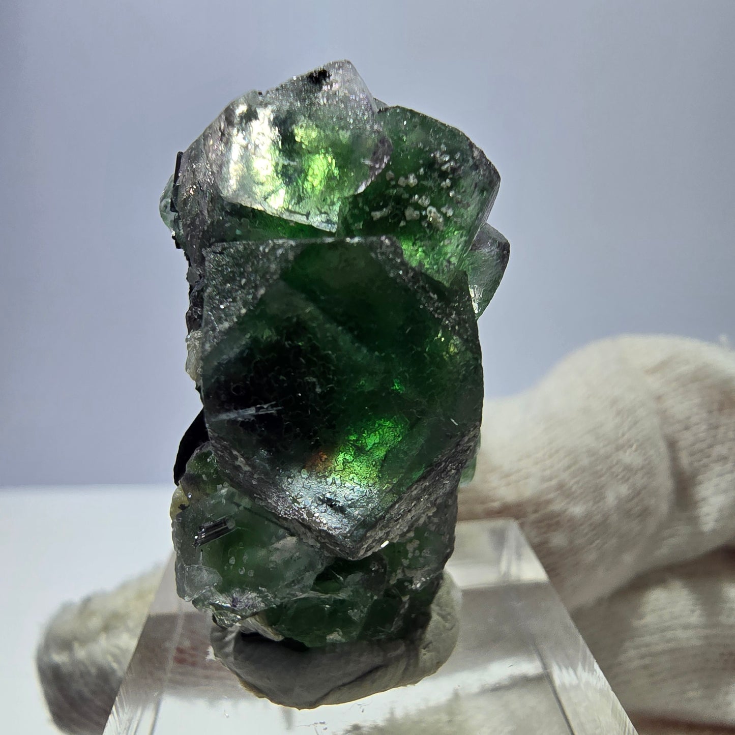 Fluorite fantôme, Tourmaline Schörl, Stade muscovite Erongo, Namibie 35*20*20mm