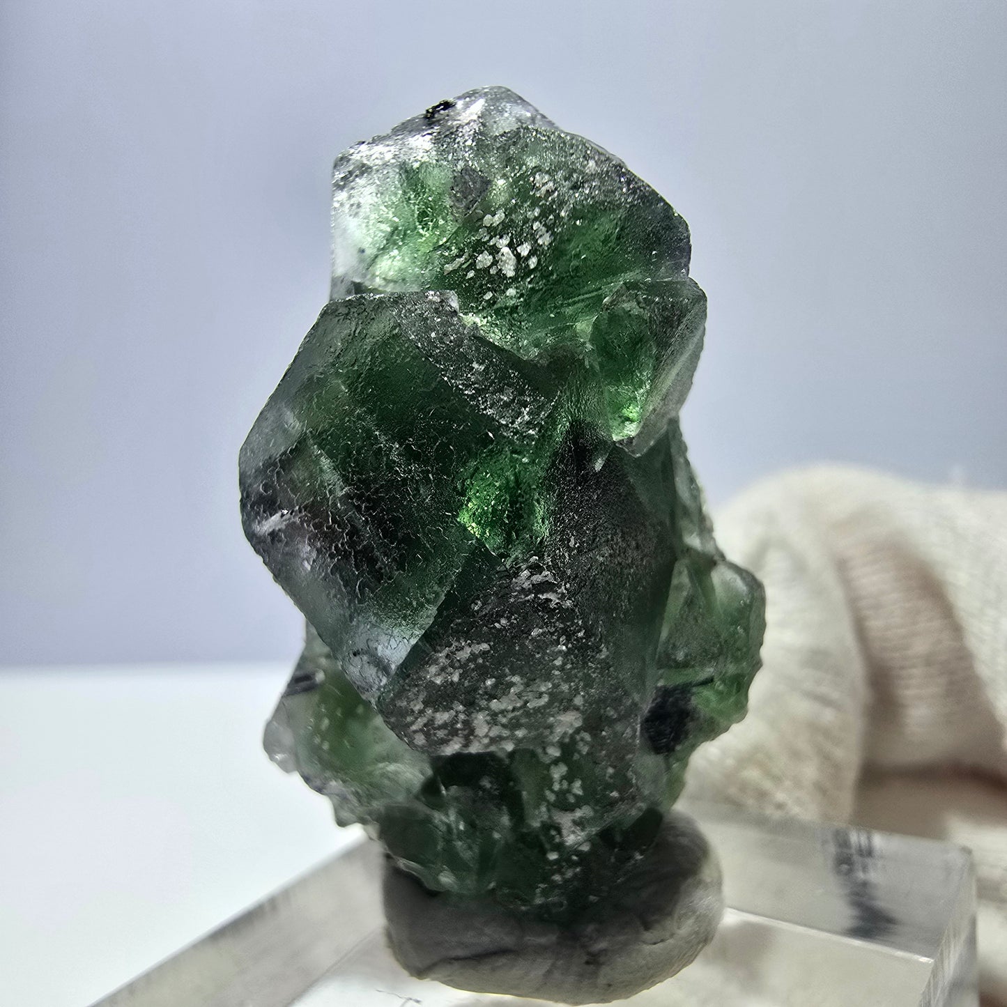 Fluorite fantôme, Tourmaline Schörl, Stade muscovite Erongo, Namibie 35*20*20mm