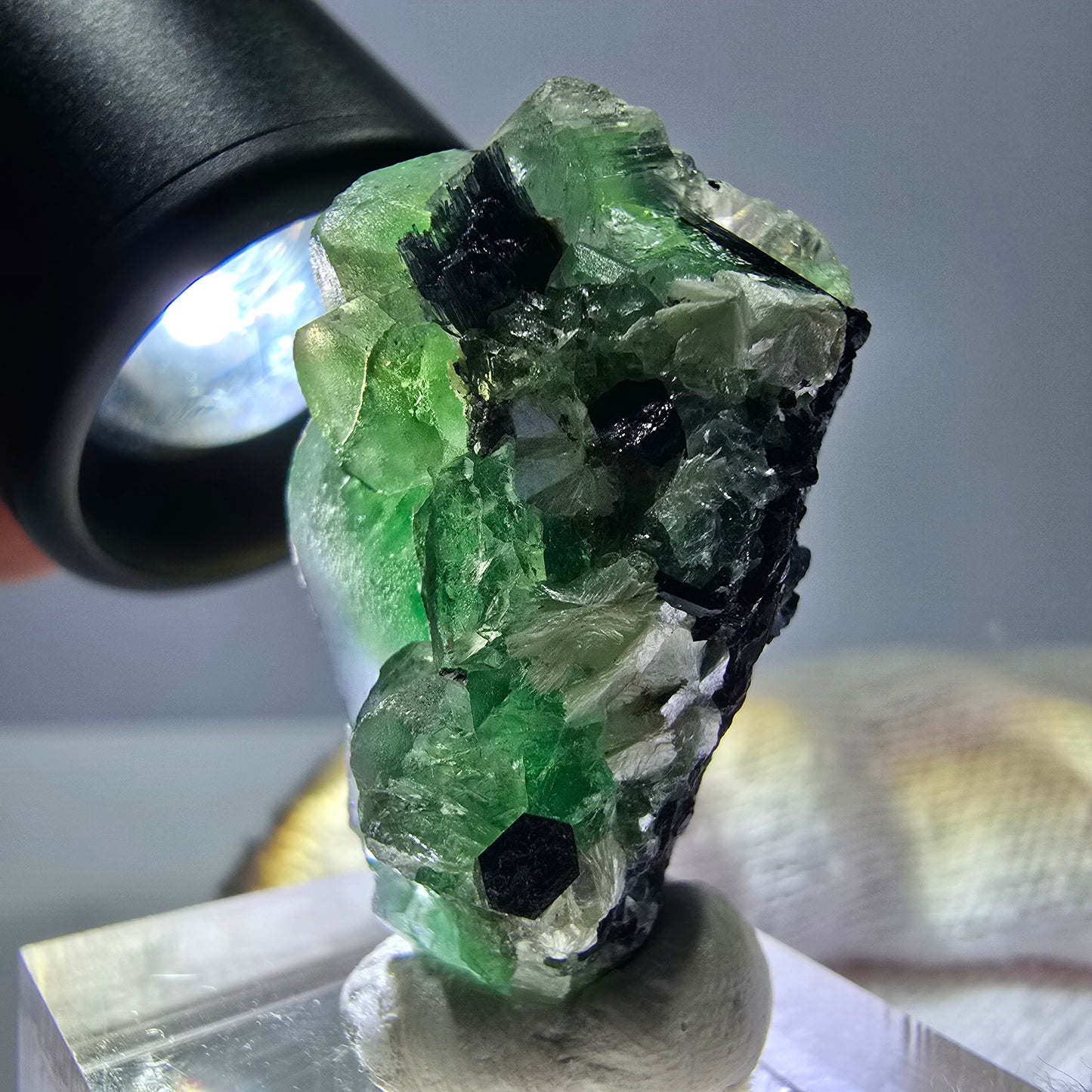 Fluorite fantôme, Tourmaline Schörl, Stade muscovite Erongo, Namibie 35*20*20mm