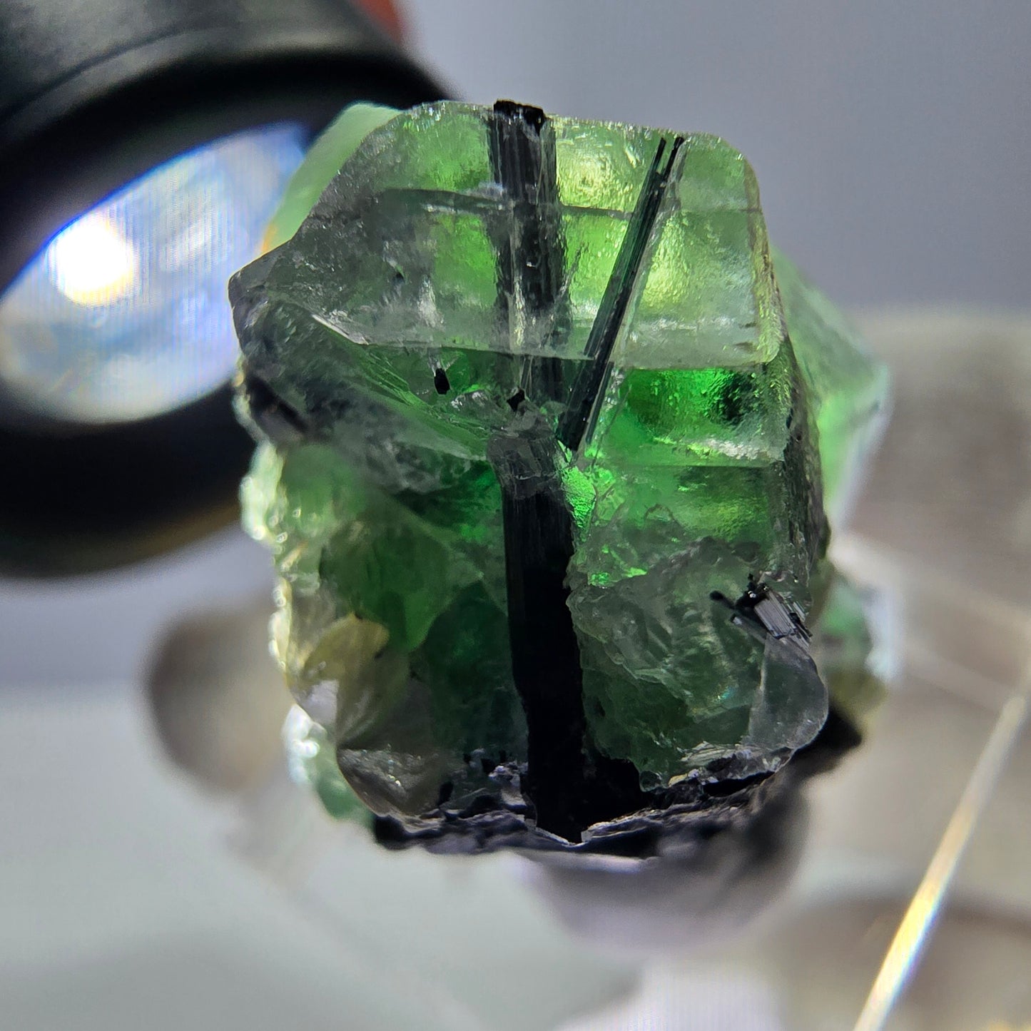 Fluorite fantôme, Tourmaline Schörl, Stade muscovite Erongo, Namibie 35*20*20mm