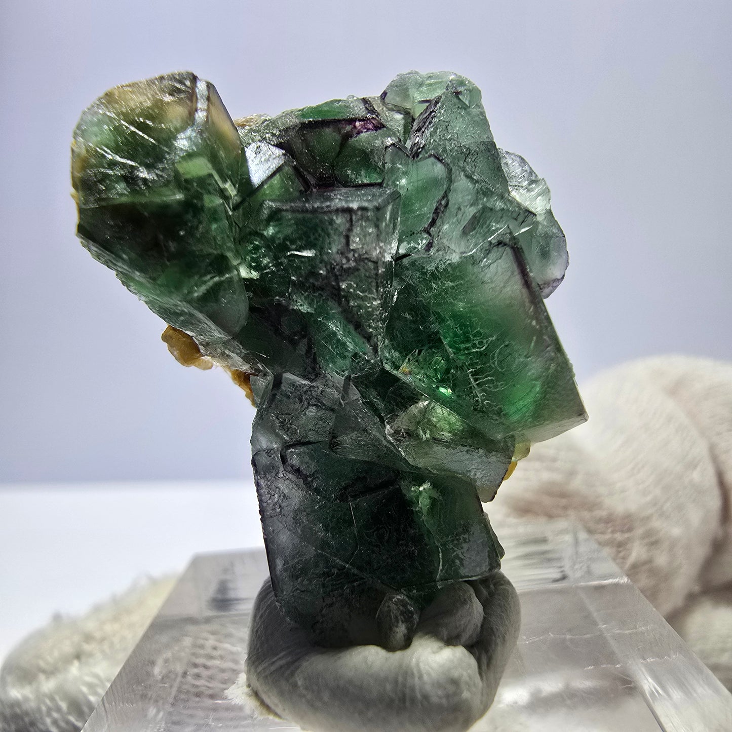 Cube de fluorite fantôme zonal, tourmaline muscovite Schörl Erongo Namibie 31 x 22 x 20 mm