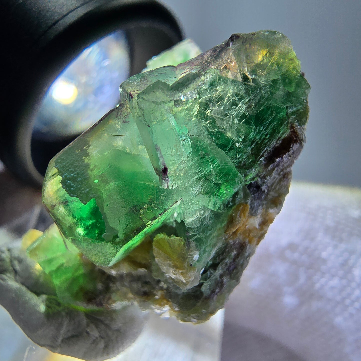Cube de fluorite fantôme zonal, tourmaline muscovite Schörl Erongo Namibie 31 x 22 x 20 mm