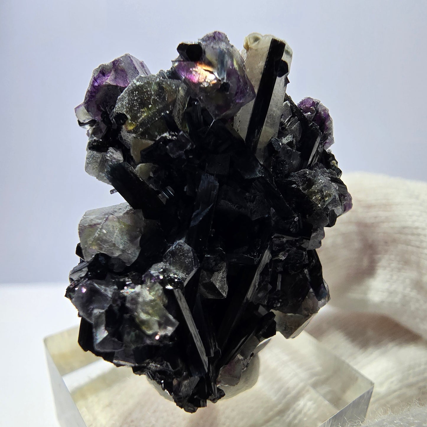 Spécimen de fluorite fantôme colorée, tourmaline scholle, muscovite, Erongo, Namibie, 28 x 30 x 19 mm