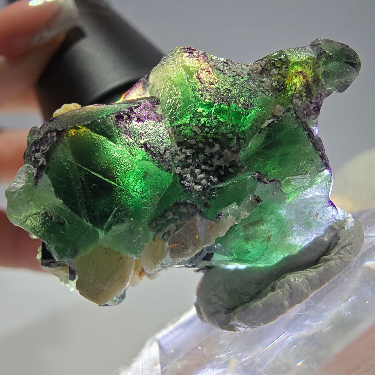 Cube de fluorite fantôme zonal, tourmaline muscovite Schorl Erongo Namibie 36 x 22 x 19 mm