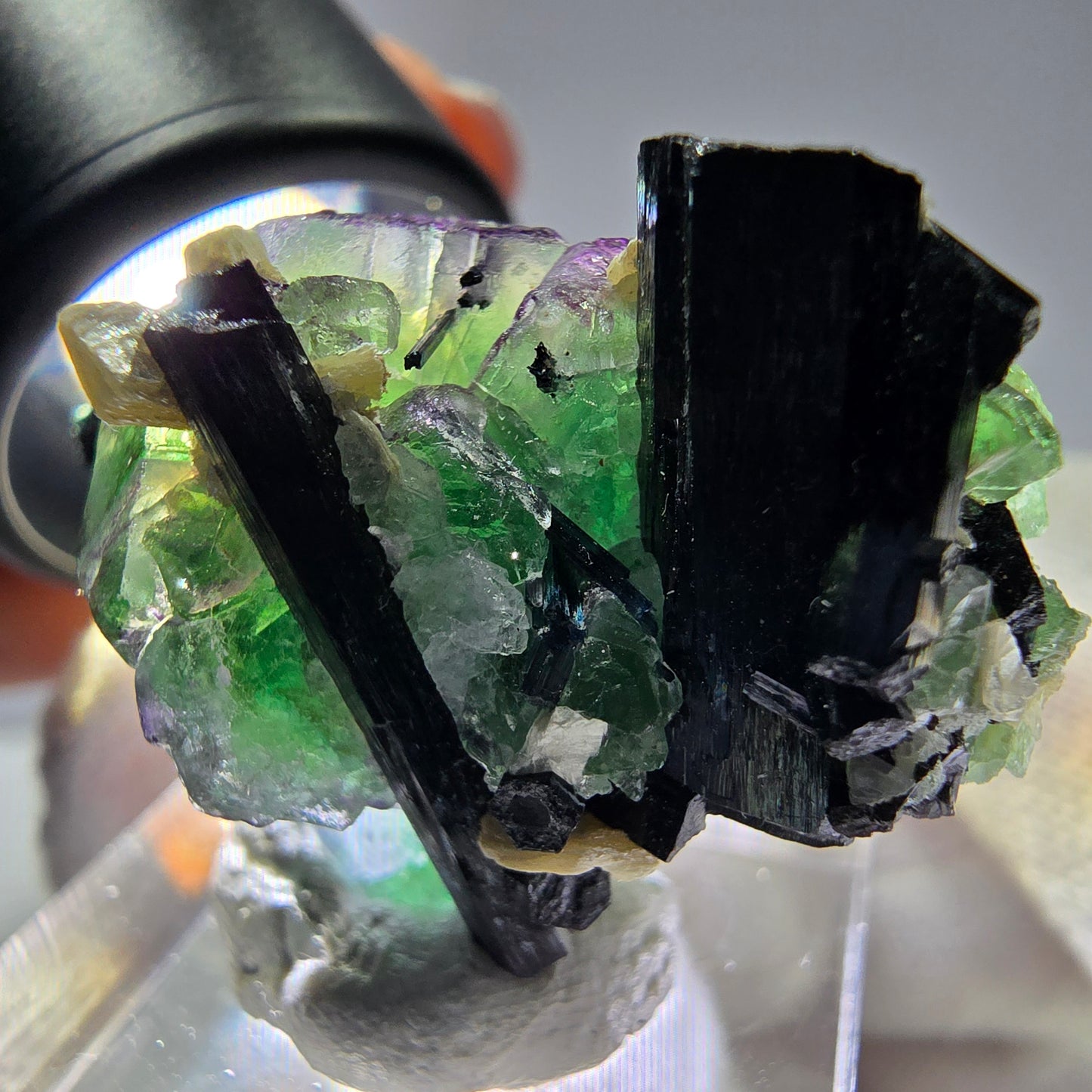 Cube de fluorite fantôme zonal, tourmaline muscovite Schorl Erongo Namibie 36 x 22 x 19 mm