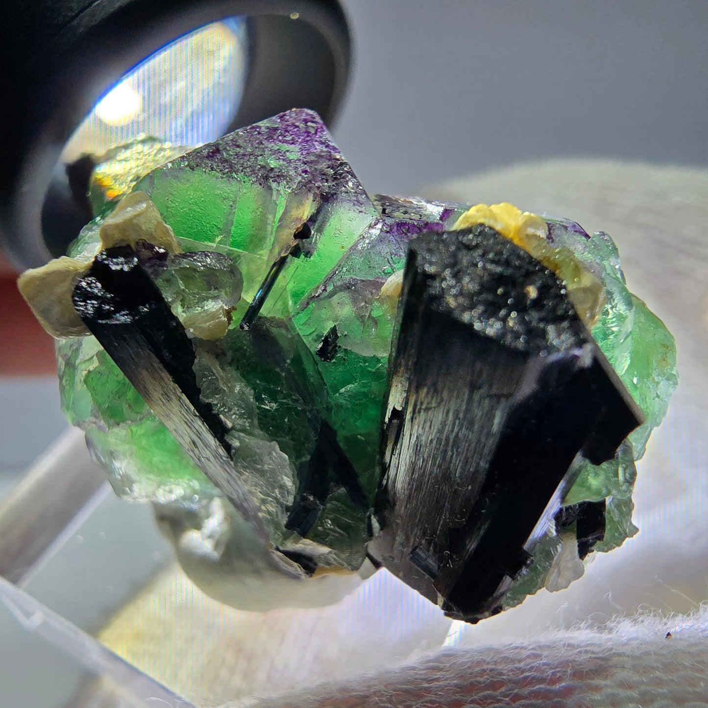 Cube de fluorite fantôme zonal, tourmaline muscovite Schorl Erongo Namibie 36 x 22 x 19 mm