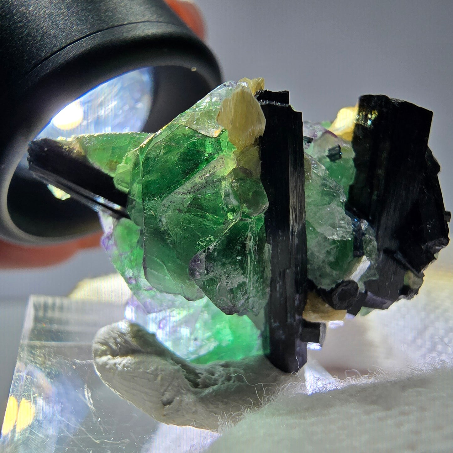 Cube de fluorite fantôme zonal, tourmaline muscovite Schorl Erongo Namibie 36 x 22 x 19 mm