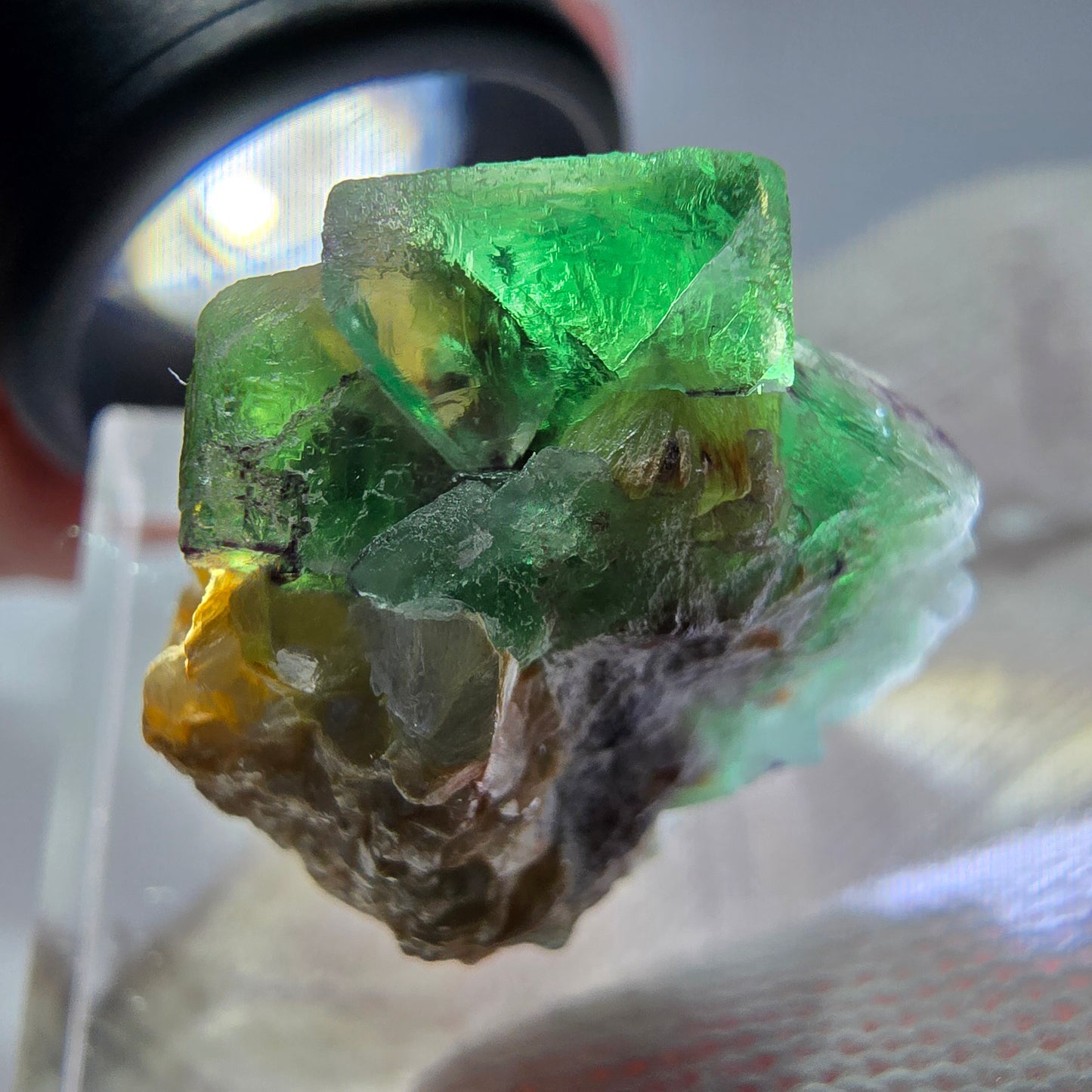 Cube de fluorite fantôme, spécimen de muscovite, Erongo, Namibie, 27 x 25 x 19 mm