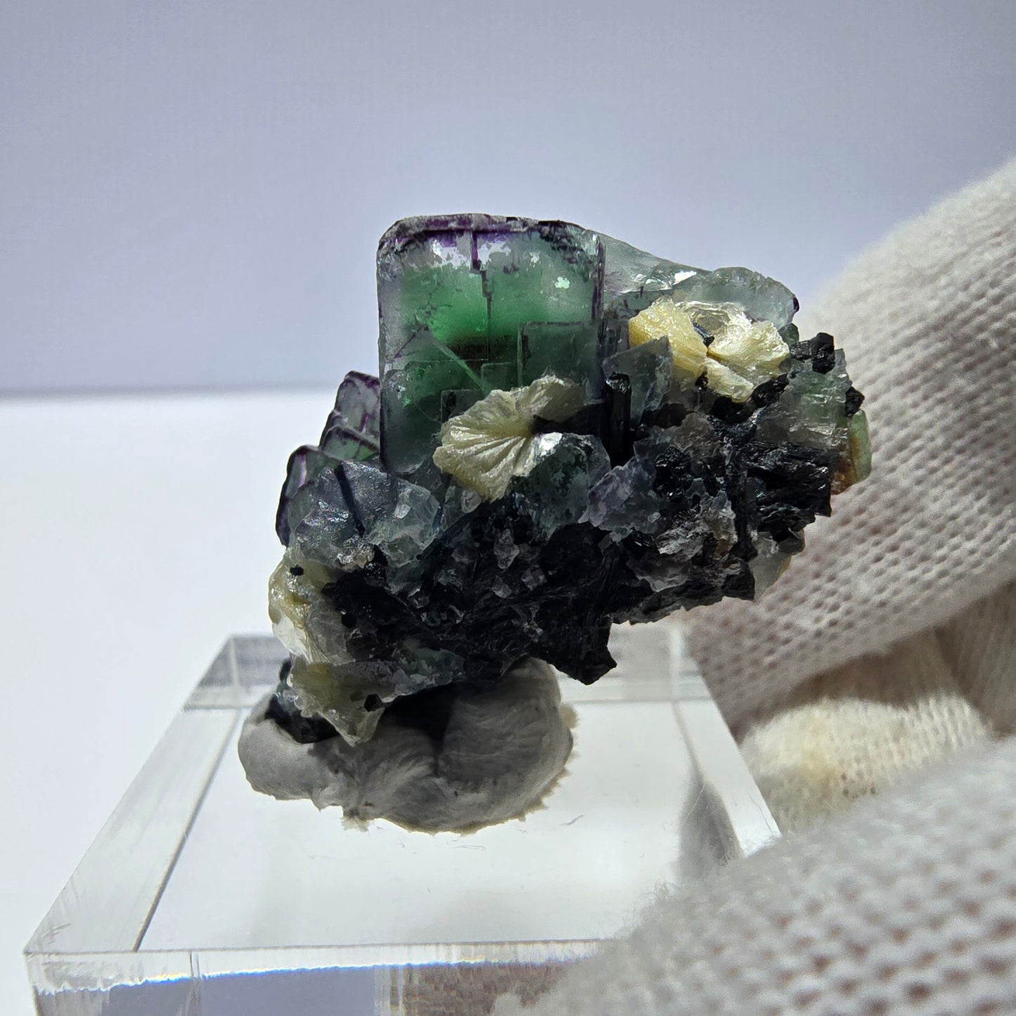 Cube de fluorite fantôme zonal, tourmaline muscovite Schörl Erongo Namibie 31*22*18mm