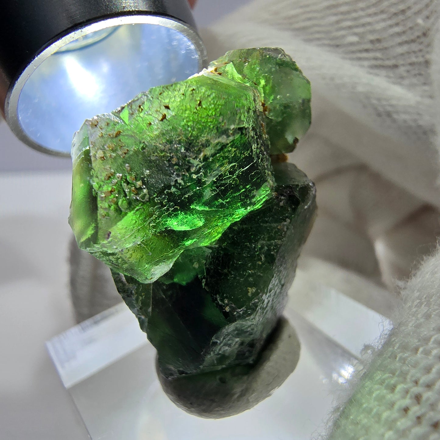 Cube de fluorite fantôme zonal, tourmaline muscovite Schorl Erongo Namibie 26 x 23 x 15 mm