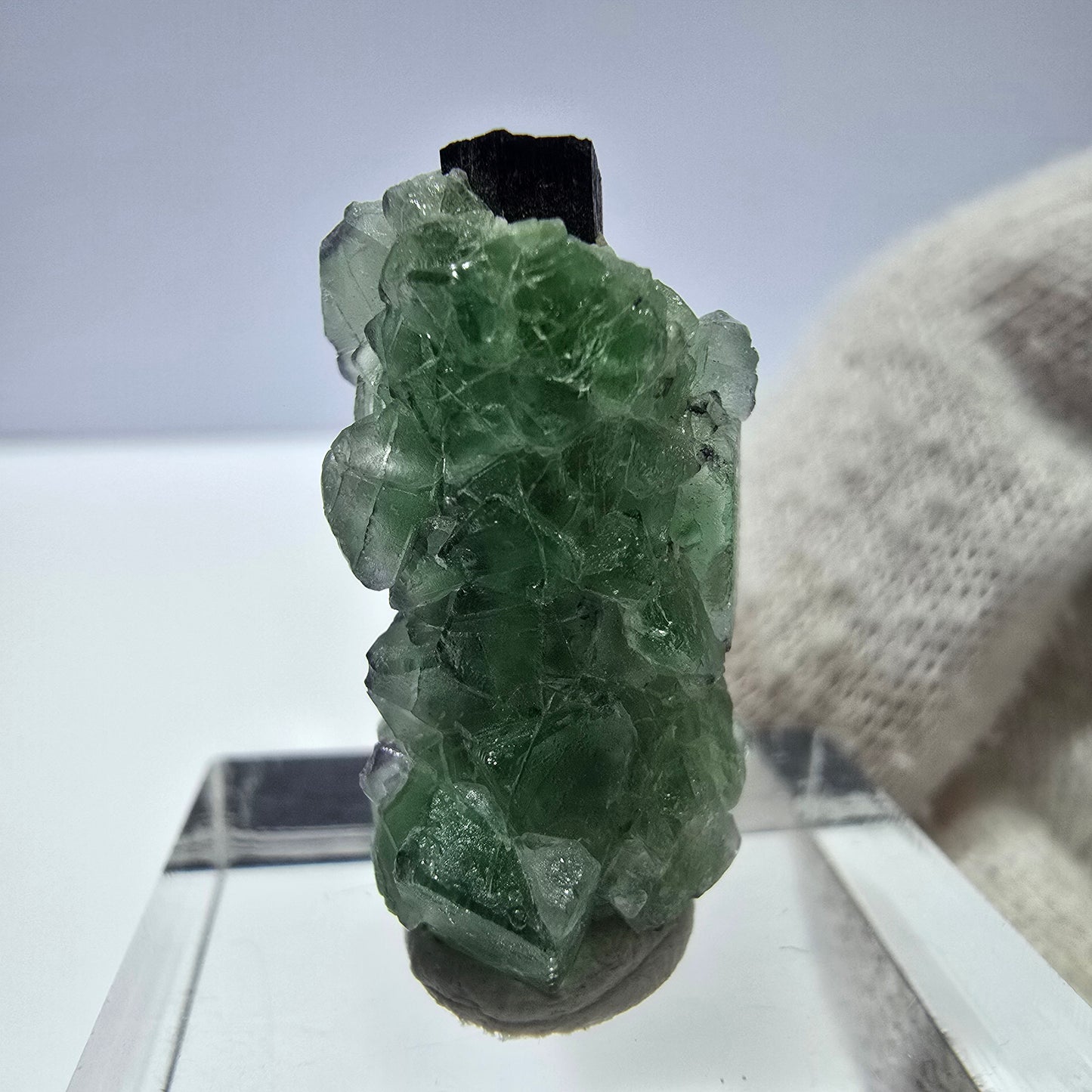 Cube de fluorite fantôme zonal, spécimen de tourmaline Schorl, Erongo, Namibie, 25 x 12 x 12 mm