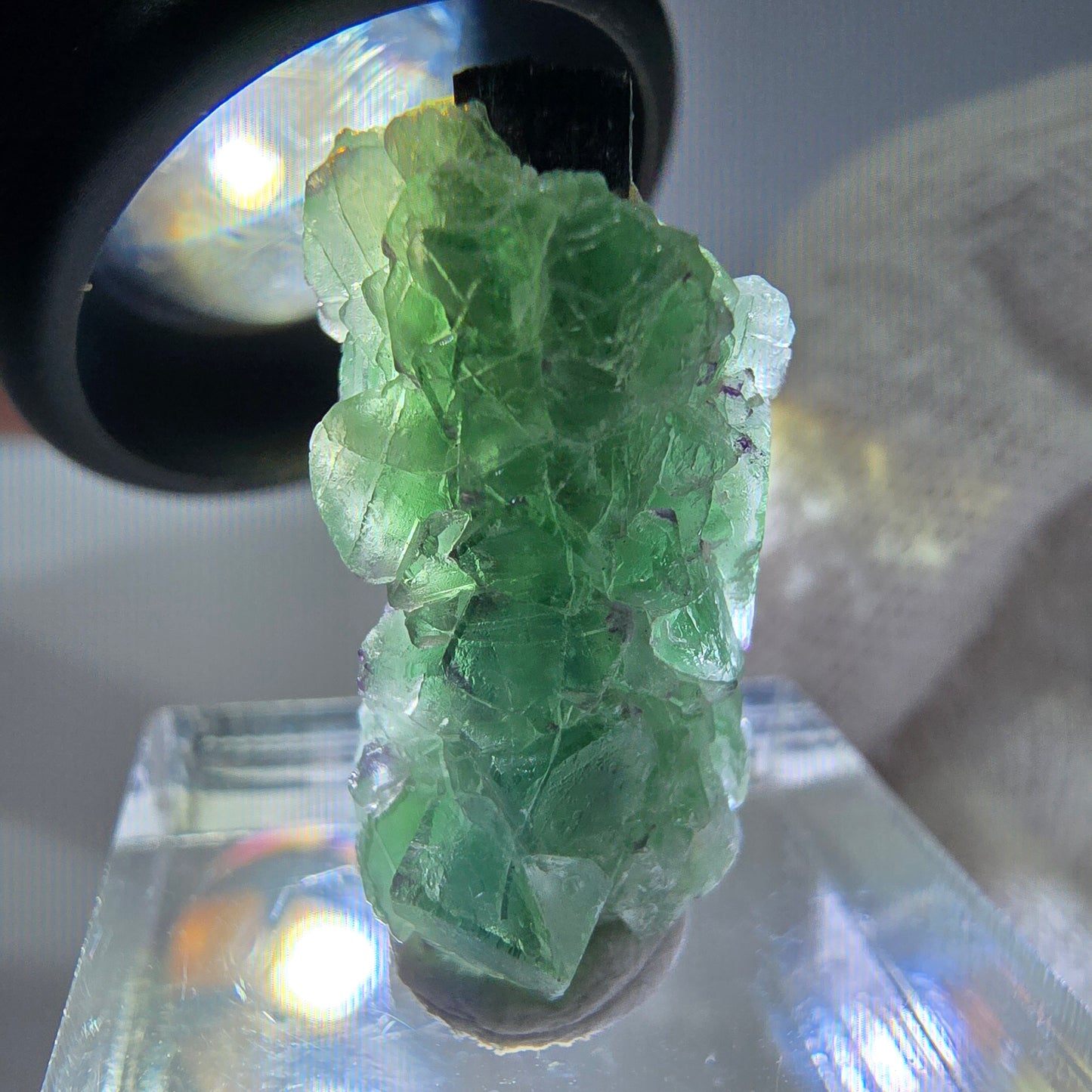 Cube de fluorite fantôme zonal, spécimen de tourmaline Schorl, Erongo, Namibie, 25 x 12 x 12 mm