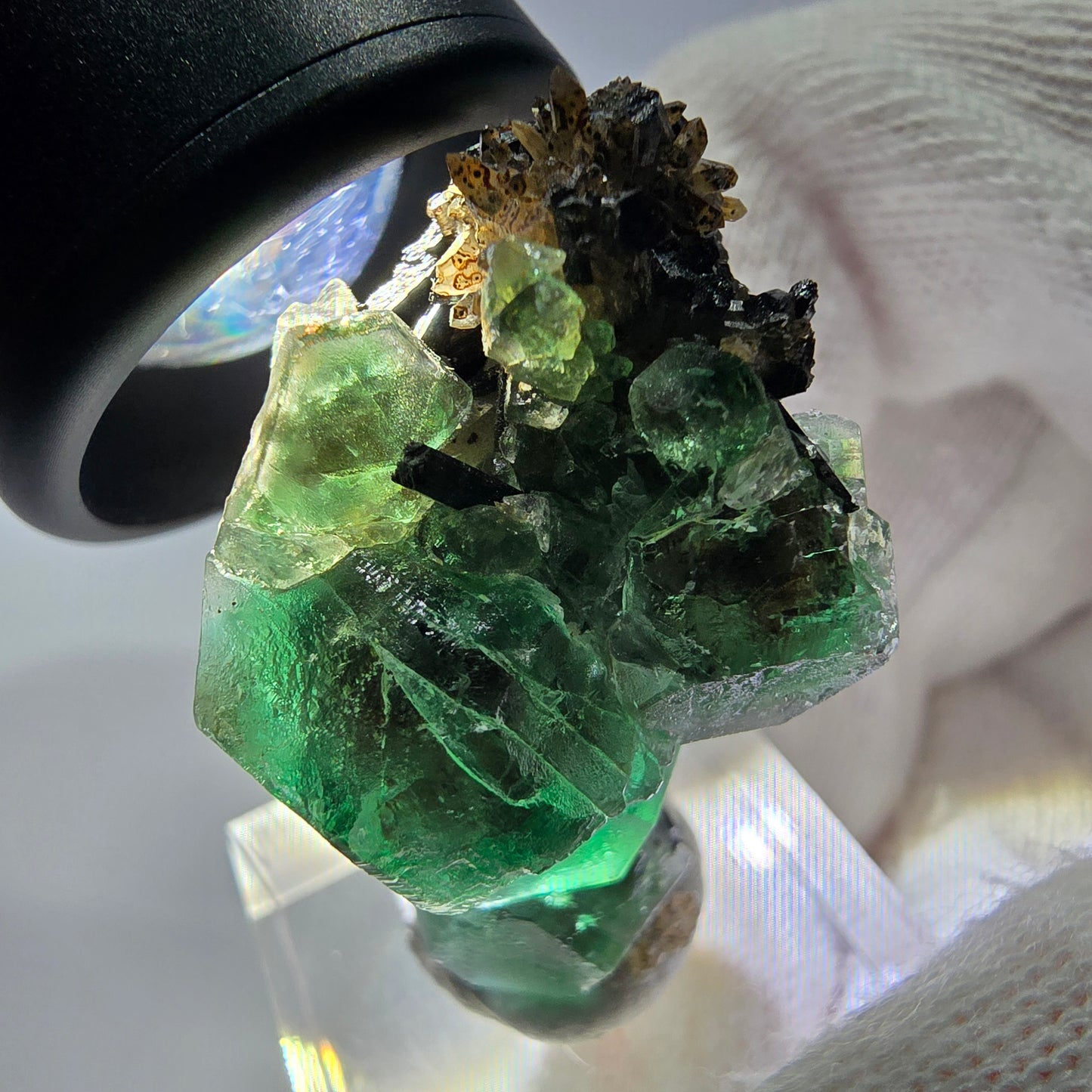 Fluorite fantôme hexagonale Schörl Tourmaline Quartz fumé Hyalite Erongo, Namibie 39*25*22mm