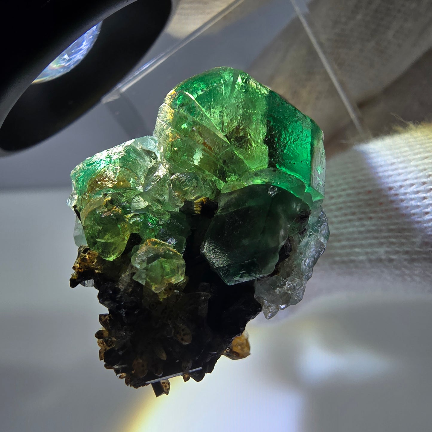 Fluorite fantôme hexagonale Schörl Tourmaline Quartz fumé Hyalite Erongo, Namibie 39*25*22mm