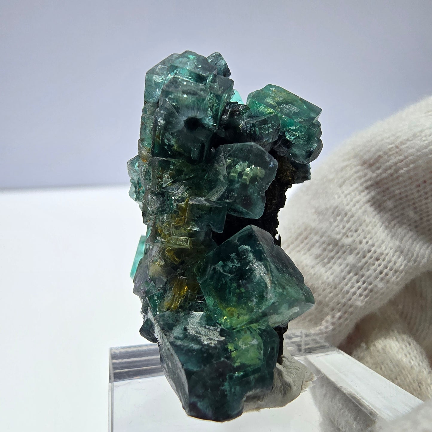 Cube de fluorite fantôme, spécimen de tourmaline Schorl, Erongo, Namibie, 34 x 27 x 22 mm