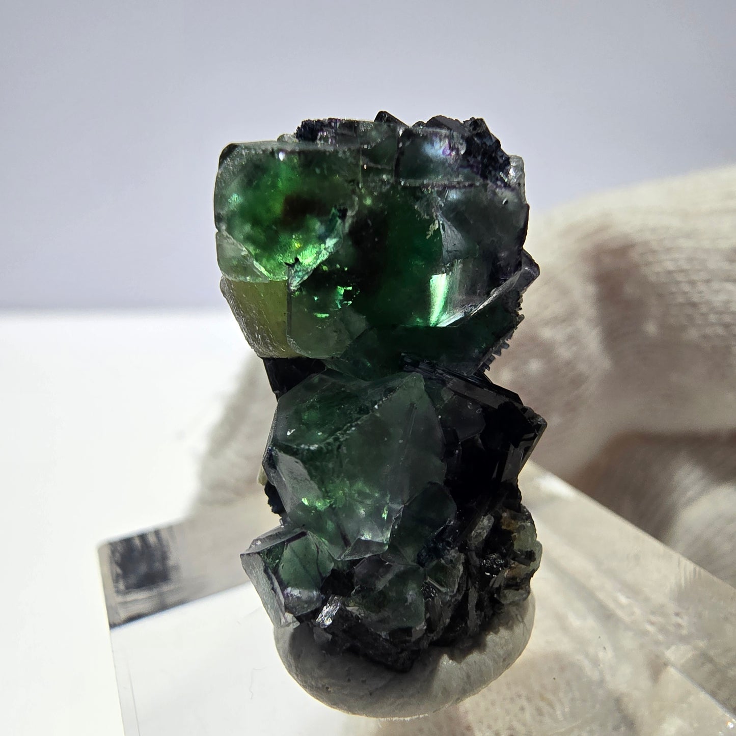 Cube de fluorite fantôme zonal, tourmaline muscovite Schorl Erongo Namibie 24 x 16 x 12 mm