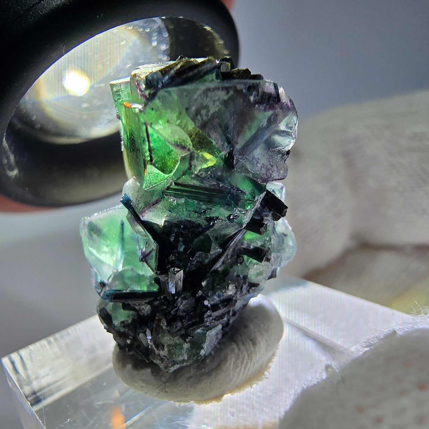 Cube de fluorite fantôme zonal, tourmaline muscovite Schorl Erongo Namibie 24 x 16 x 12 mm