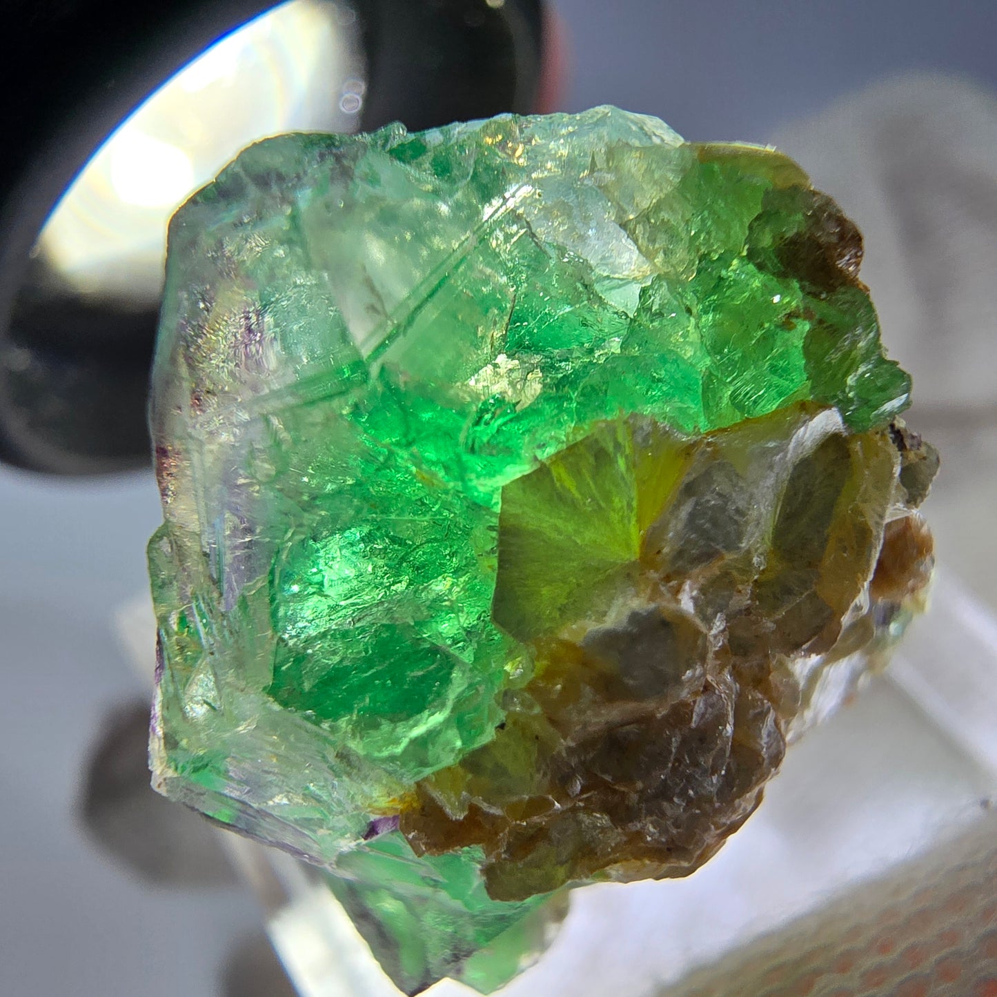 Cube de fluorite fantôme zonal, muscovite, spécimen d'hyalite, Erongo, Namibie, 26 x 18 x 16 mm