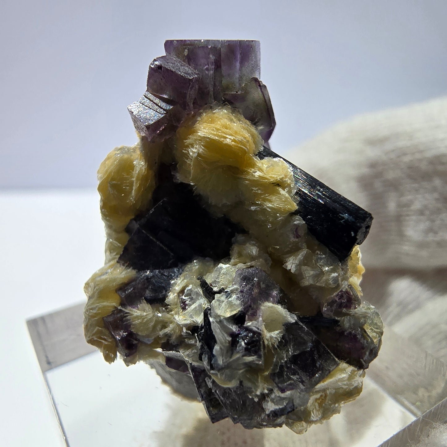 Spécimen de fluorite fantôme colorée, tourmaline scholle, muscovite, Erongo, Namibie, 31 x 21 x 21 mm