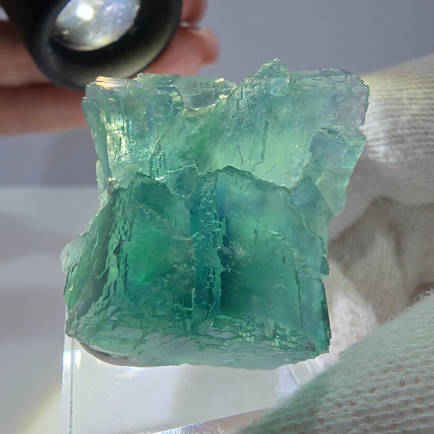 Spécimen de cube de fluorite fantôme parqueté vert turquoise Okorusu, Namibie 41*35*22mm