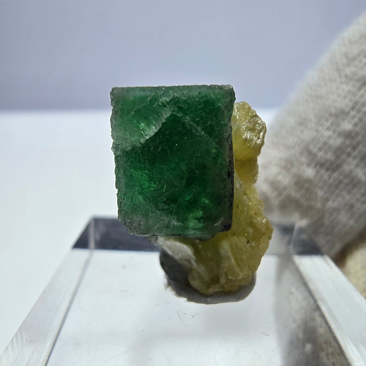 Cube de fluorite fantôme zonal, spécimen de muscovite, Erongo, Namibie, 19 x 13 x 11 mm