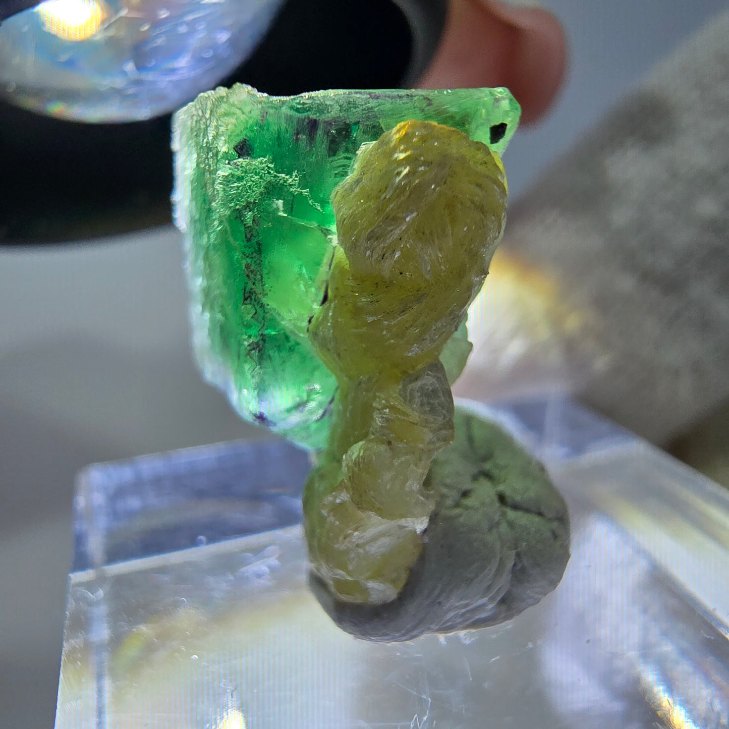 Cube de fluorite fantôme zonal, spécimen de muscovite, Erongo, Namibie, 19 x 13 x 11 mm
