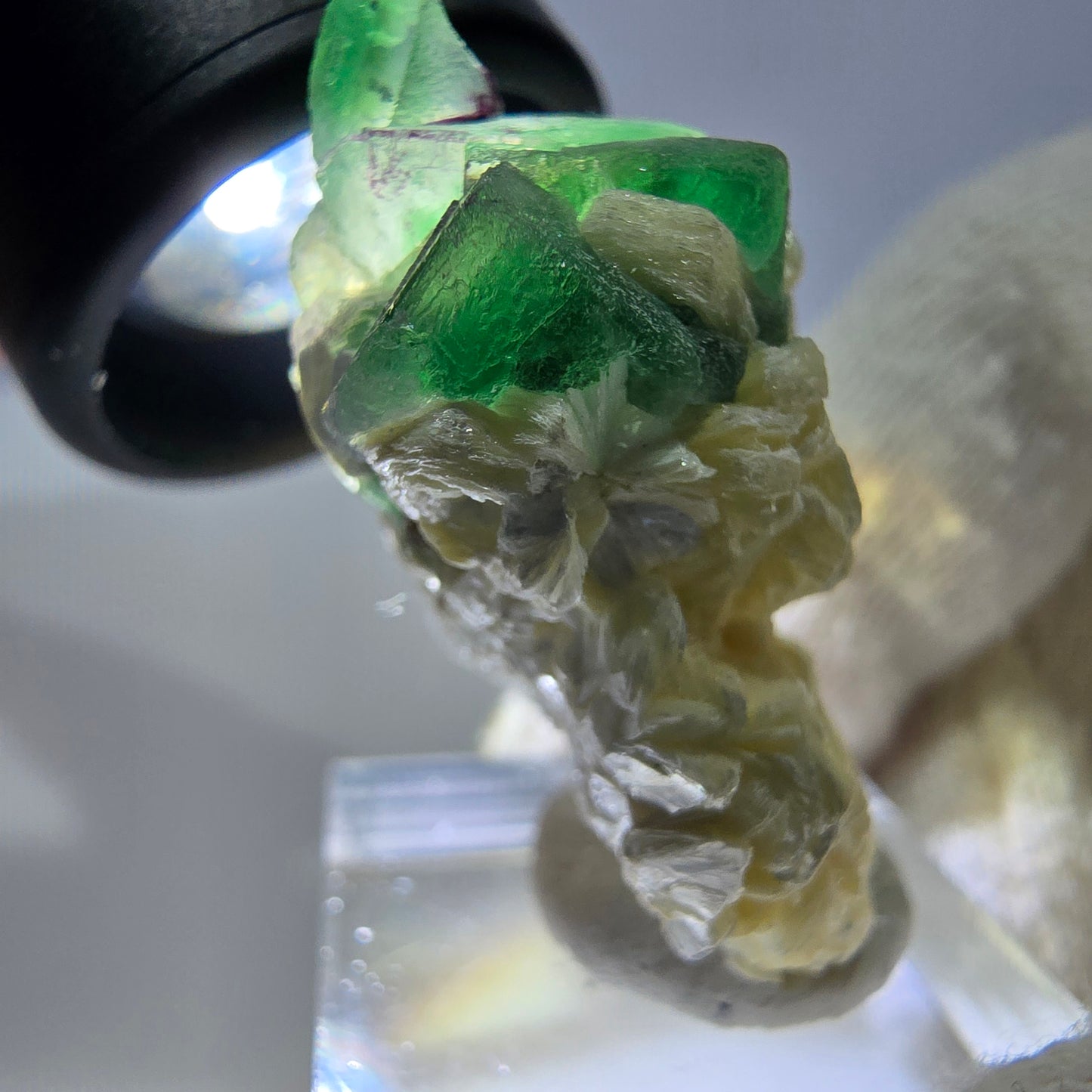 Cube de fluorite fantôme zonal, spécimen de muscovite, Erongo, Namibie, 38 x 30 x 19 mm