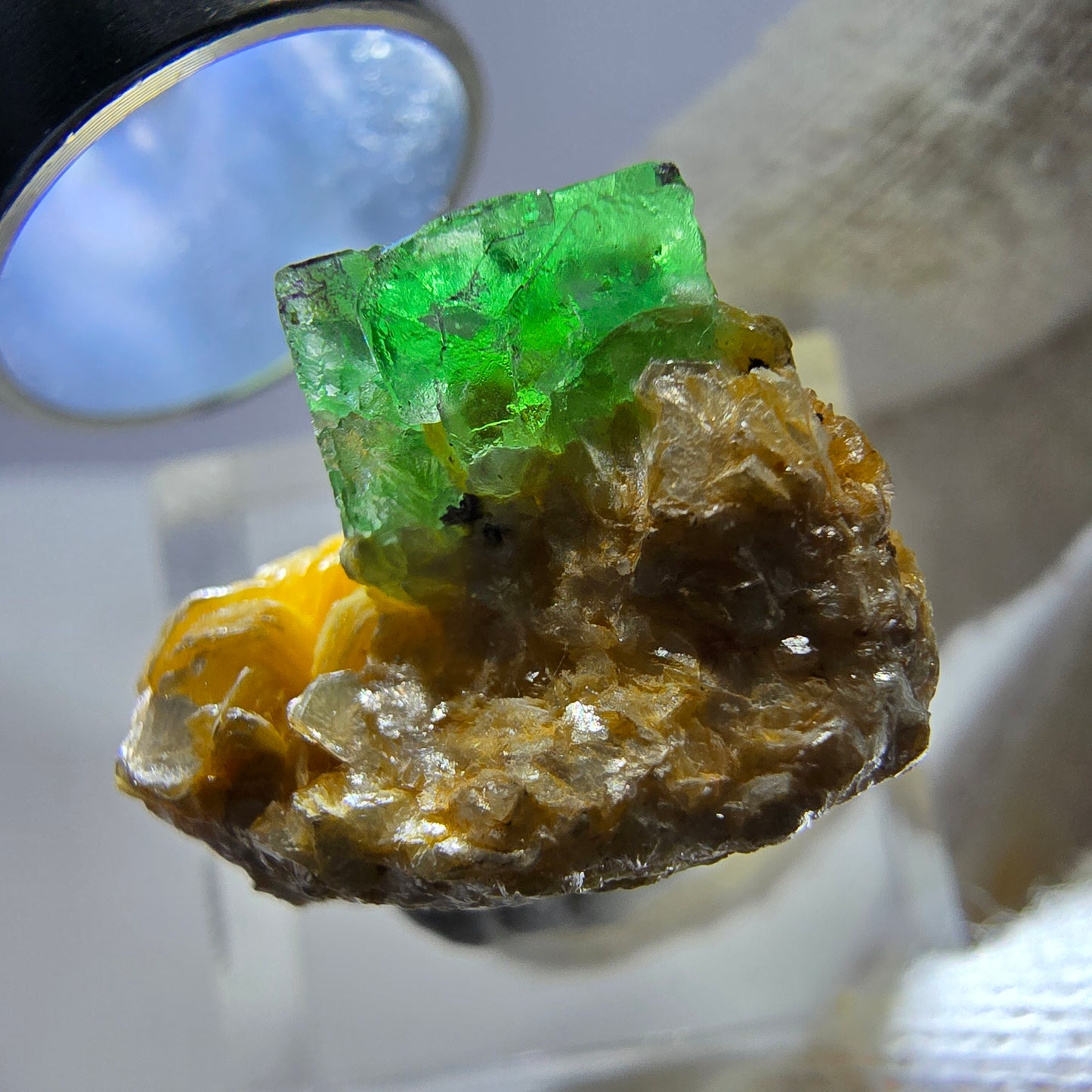 Cube de fluorite fantôme, spécimen de muscovite, Erongo, Namibie, 24 x 20 x 17 mm