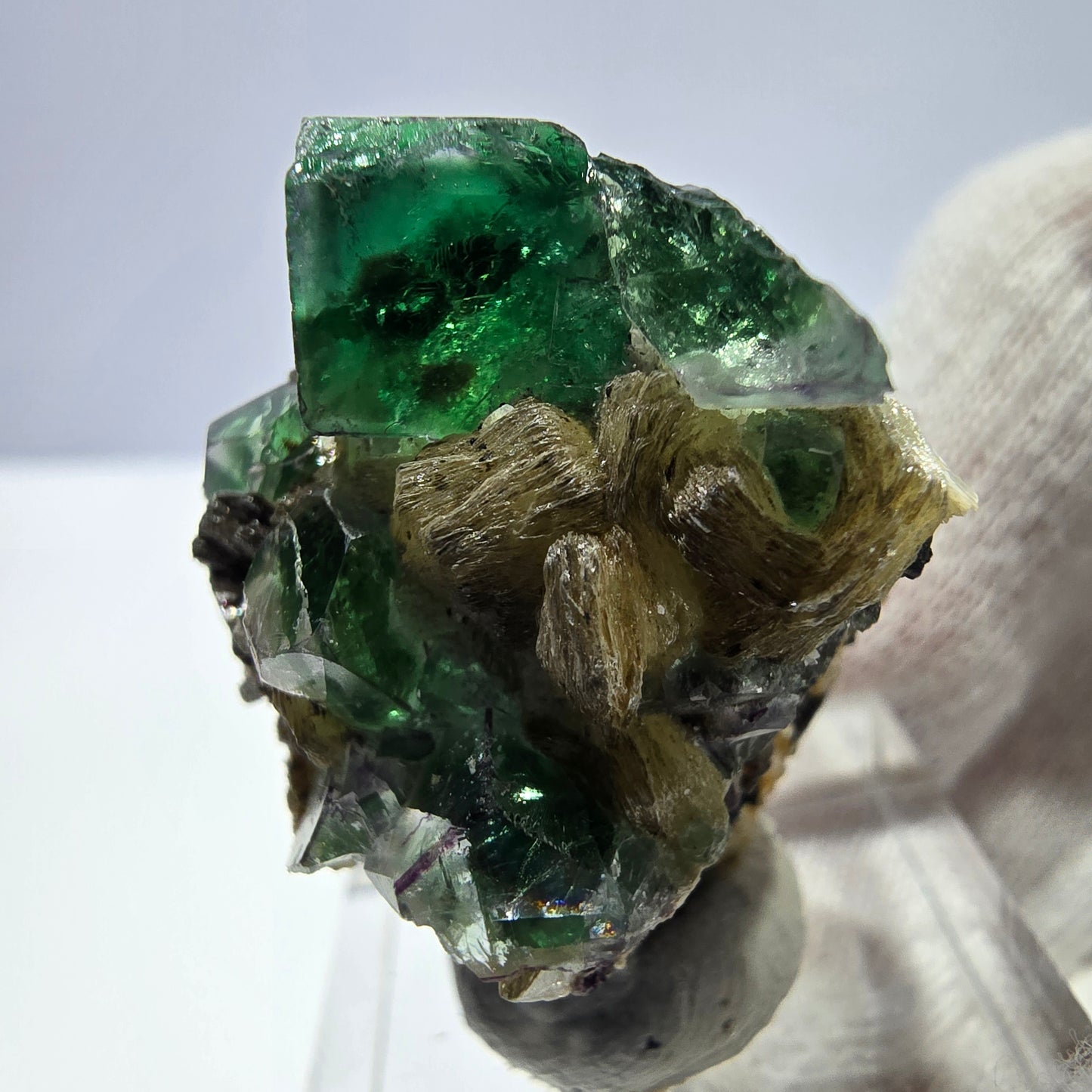 Spécimen de cube de fluorite fantôme zonal, de muscovite et de tourmaline Schorl, Erongo, Namibie, 31 x 24 x 27 mm