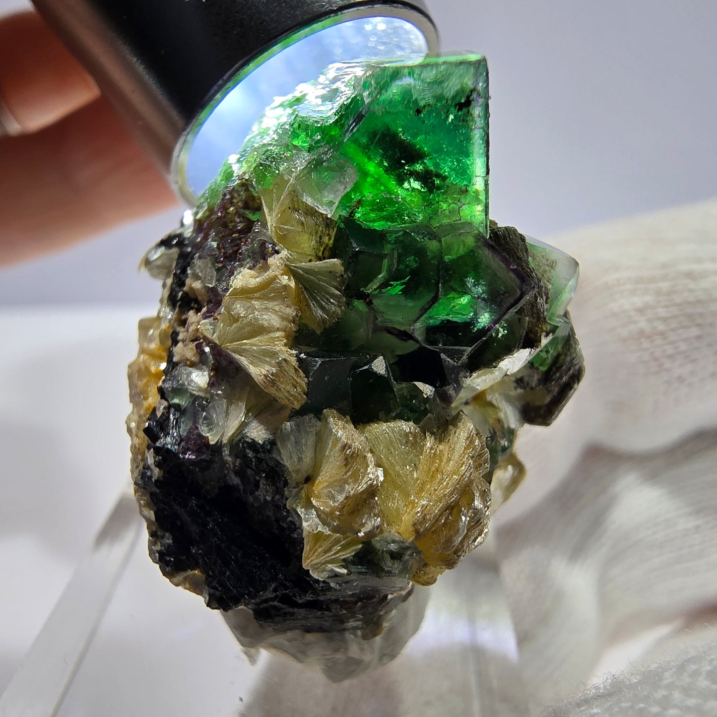 Spécimen de cube de fluorite fantôme zonal, de muscovite et de tourmaline Schorl, Erongo, Namibie, 31 x 24 x 27 mm