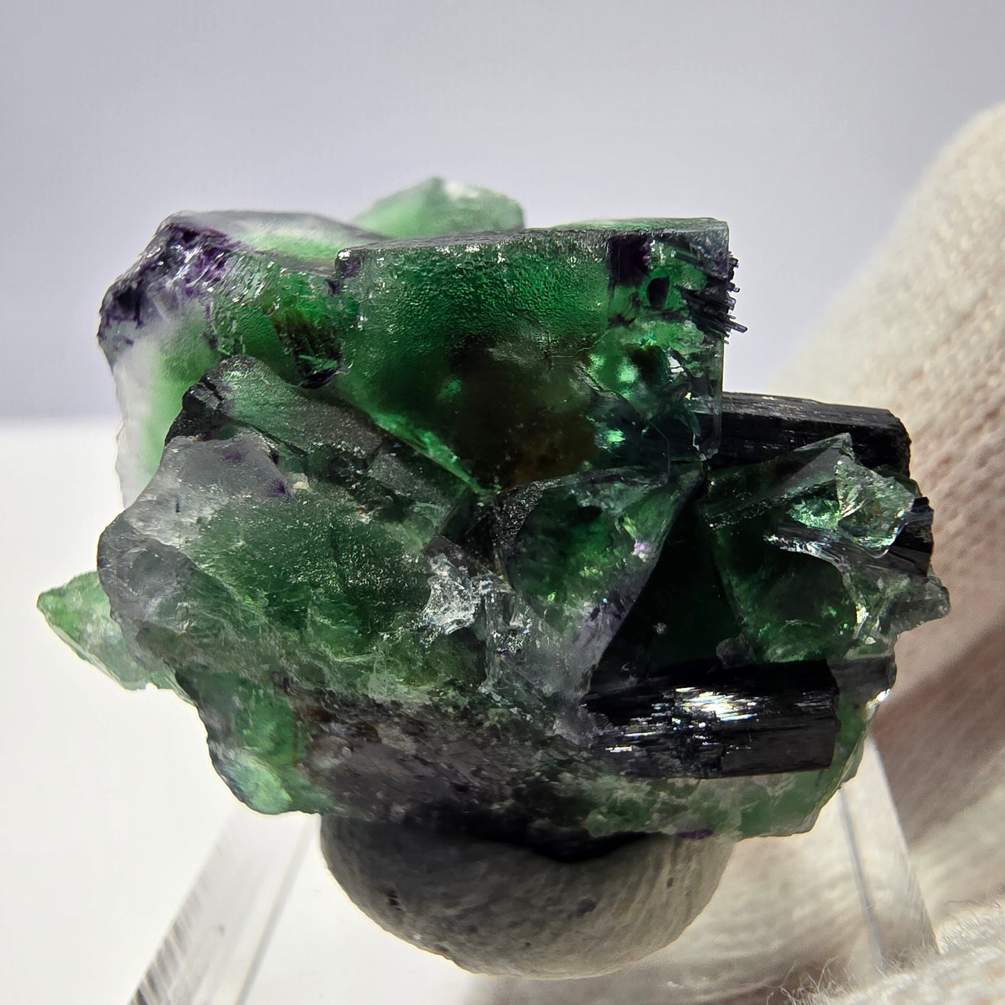 Cube de fluorite fantôme zonal, spécimen de tourmaline Schorl, Erongo, Namibie, 35 x 25 x 22 mm