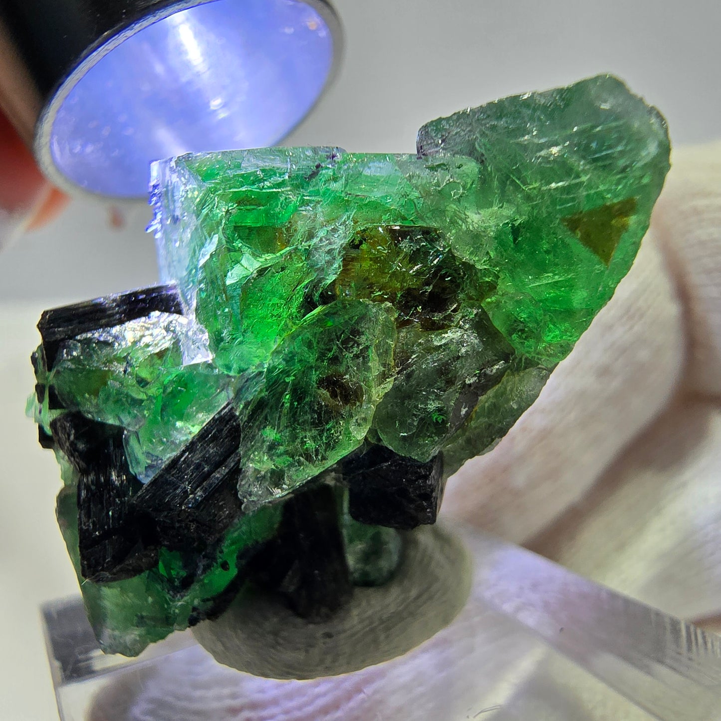 Cube de fluorite fantôme zonal, spécimen de tourmaline Schorl, Erongo, Namibie, 35 x 25 x 22 mm