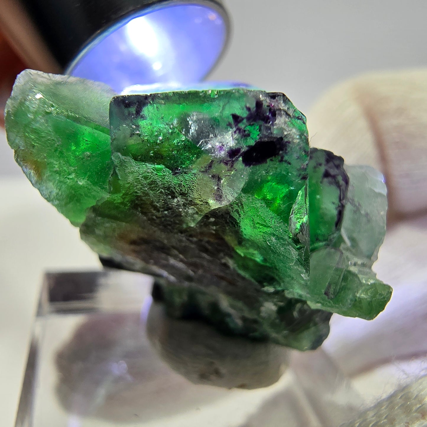 Cube de fluorite fantôme zonal, spécimen de tourmaline Schorl, Erongo, Namibie, 35 x 25 x 22 mm
