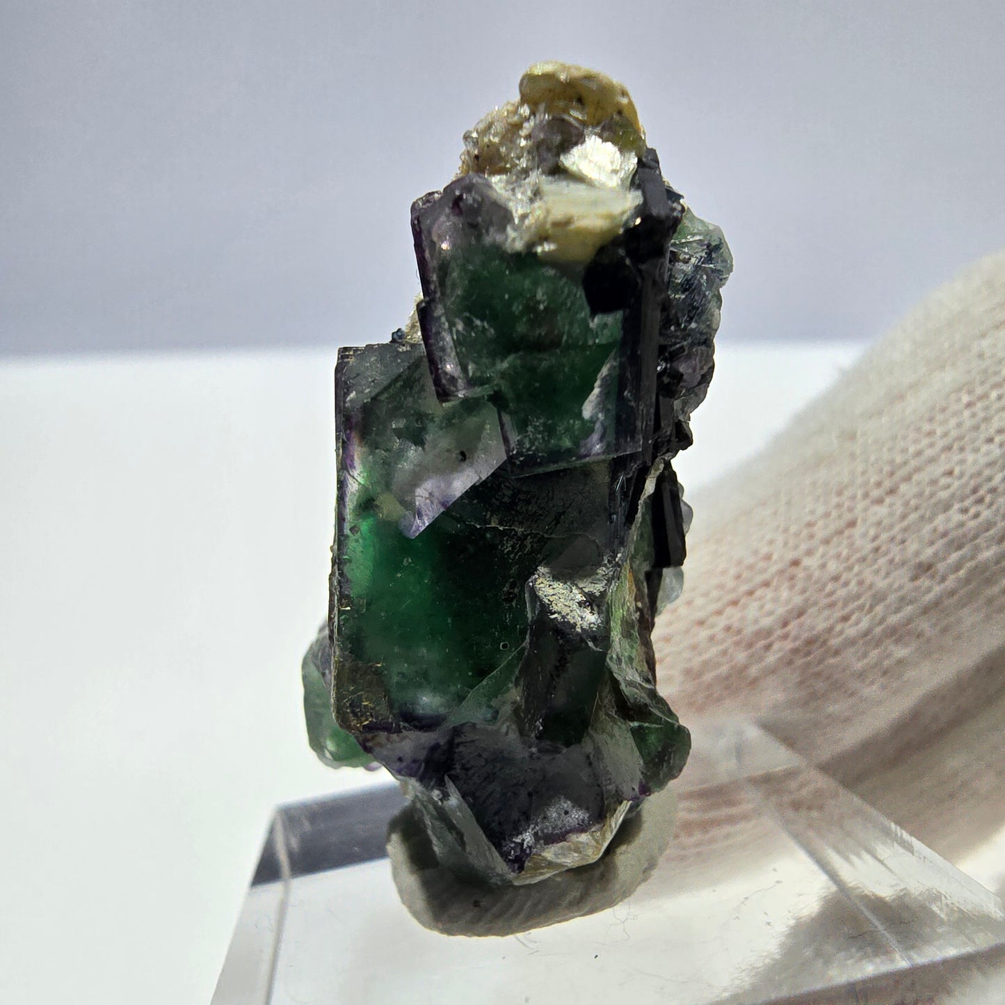 Cube de fluorite fantôme zonal, tourmaline muscovite Schörl hyalite Erongo, Namibie 36 x 21 x 17 mm