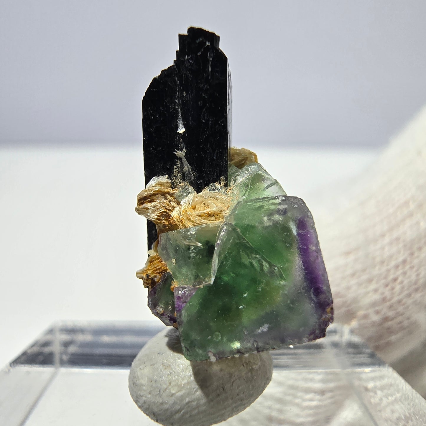 Cube de fluorite fantôme, spécimen de tourmaline schol moscovite, Erongo, Namibie, 19 x 11 x 10 mm