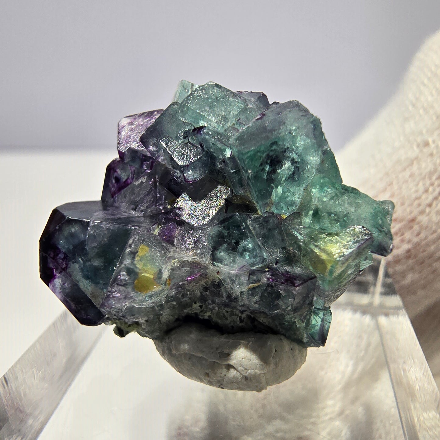 Spécimen de cube de fluorite fantôme zonal, de muscovite et de tourmaline Schorl, Erongo, Namibie, 22 x 19 x 14 mm