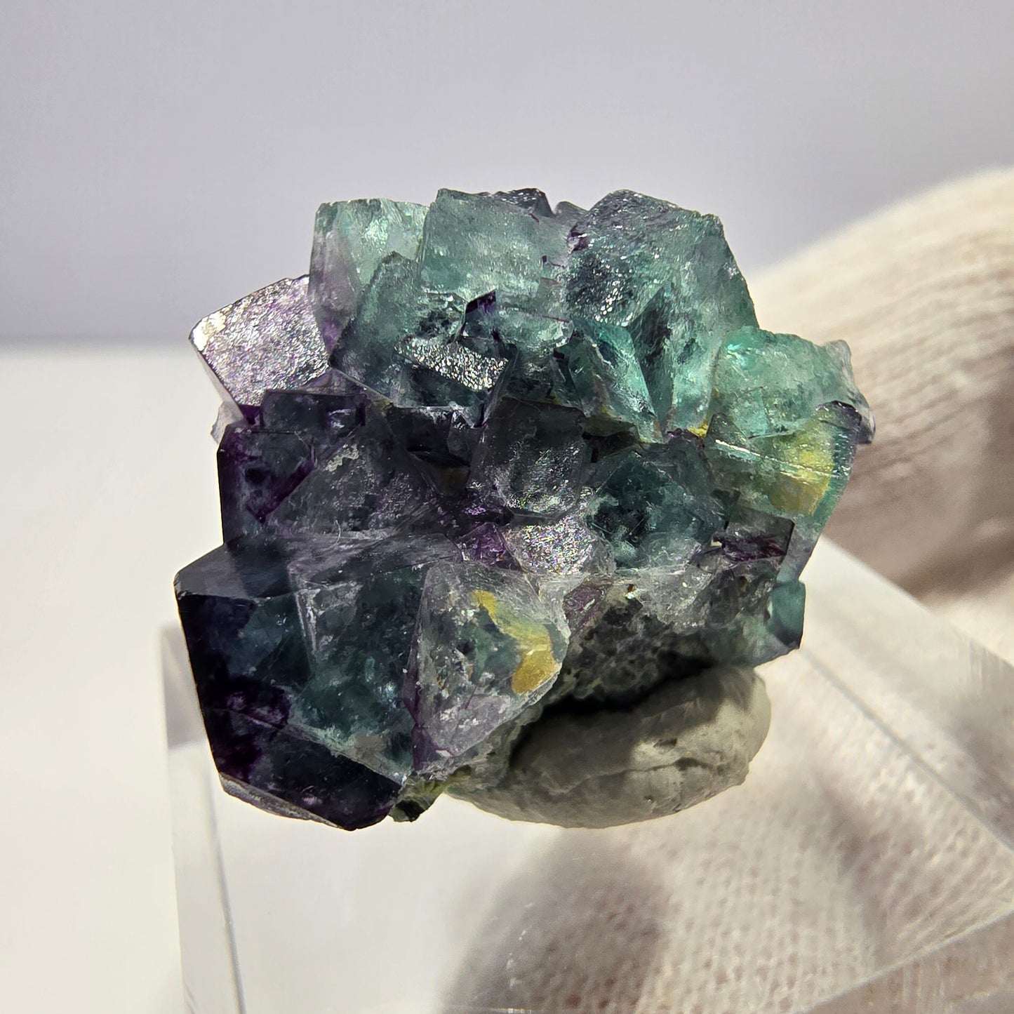 Spécimen de cube de fluorite fantôme zonal, de muscovite et de tourmaline Schorl, Erongo, Namibie, 22 x 19 x 14 mm