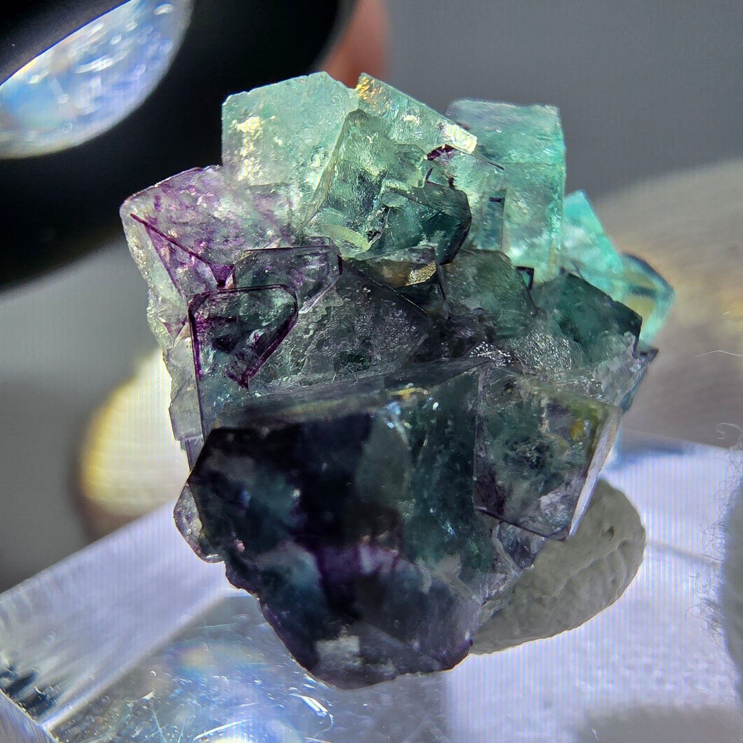 Spécimen de cube de fluorite fantôme zonal, de muscovite et de tourmaline Schorl, Erongo, Namibie, 22 x 19 x 14 mm