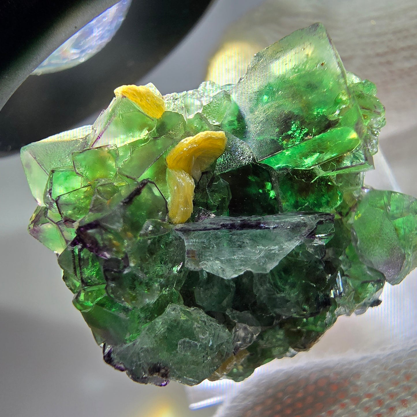 Spécimen de cube de fluorite fantôme zonal, de muscovite et de tourmaline Schorl, Erongo, Namibie, 27 x 25 x 24 mm
