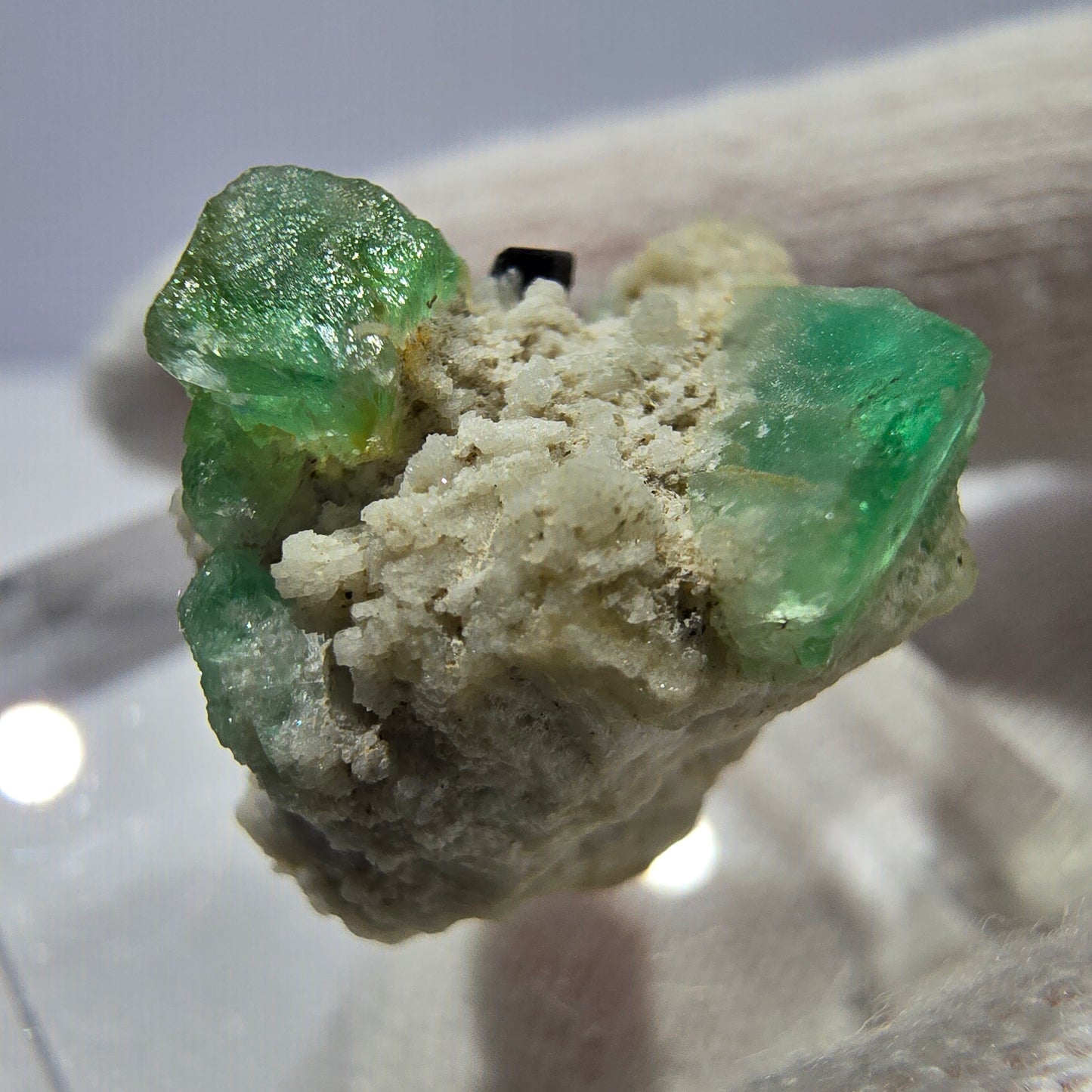 Spécimen de tourmaline Schorl et d'orthose cubique de fluorite fantôme, Erongo, Namibie, 20 x 17 x 16 mm