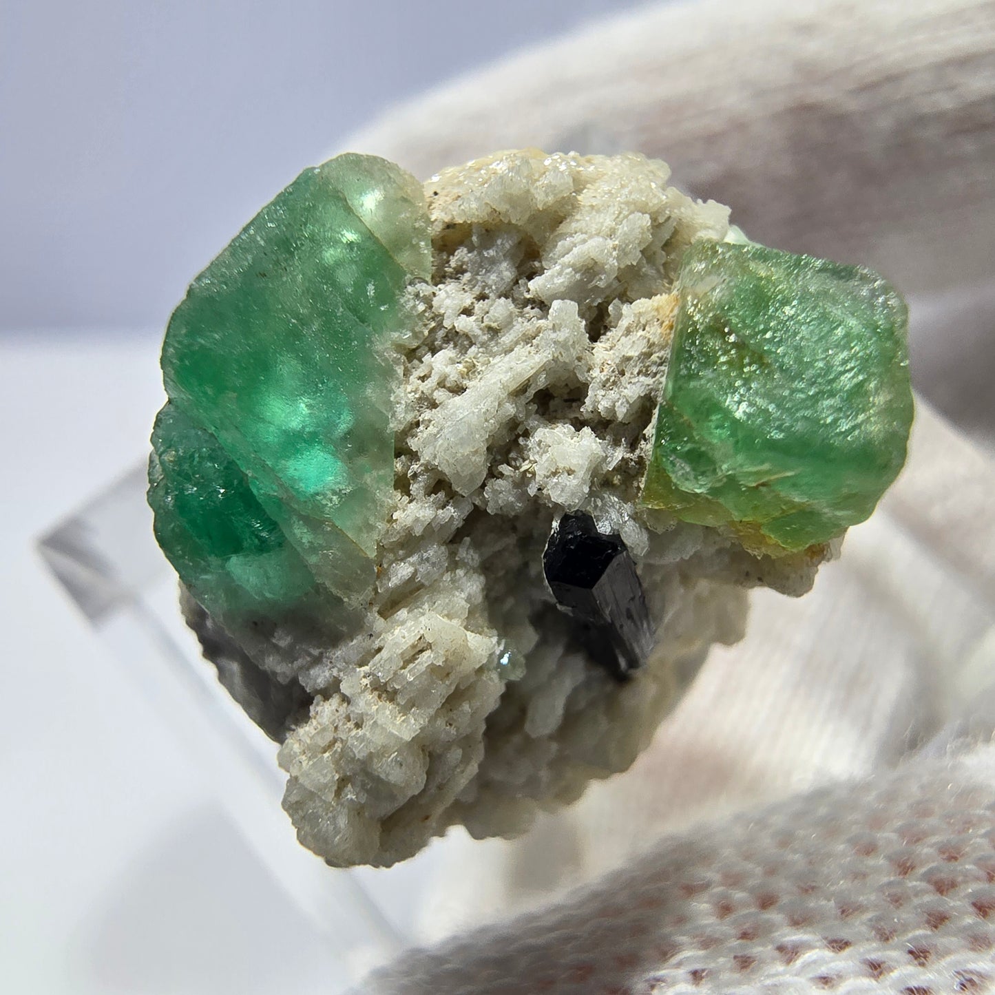 Spécimen de tourmaline Schorl et d'orthose cubique de fluorite fantôme, Erongo, Namibie, 20 x 17 x 16 mm