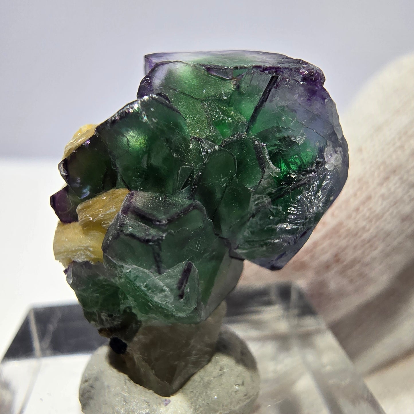Fluorite fantôme zonale, muscovite, tourmaline Schörl, quartz fumé Erongo, Namibie 27*20*17 mm