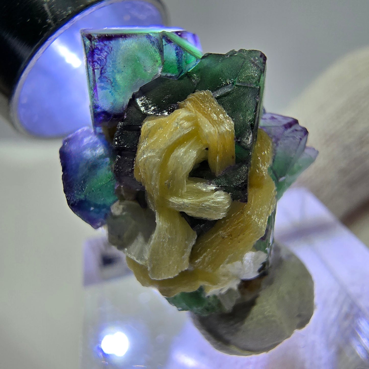 Fluorite fantôme zonale, muscovite, tourmaline Schörl, quartz fumé Erongo, Namibie 27*20*17 mm